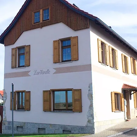 Apartment Spacious With Terrace Zur Forelle *