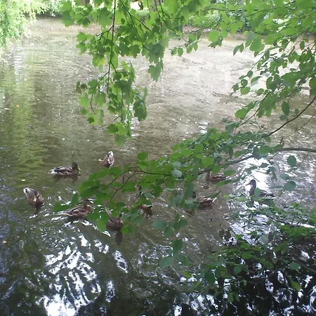 Charming Retreat, Ballenstedt