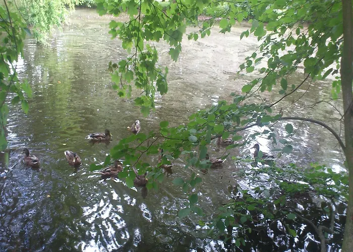 Charming Retreat, Ballenstedt